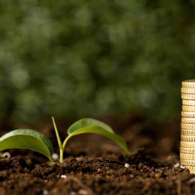 Екологічний податок у 2026 році: як правильно заповнити декларацію і додатки?