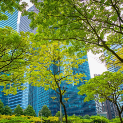 91%  компаній за ринковою капіталізацією у світівже розкривають дані про сталий розвиток